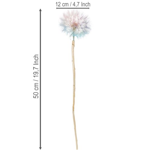 Artikel Pusteblume Deko Trockenblume stabilisiert und gefärbt Filigran langlebig 12cm 4St