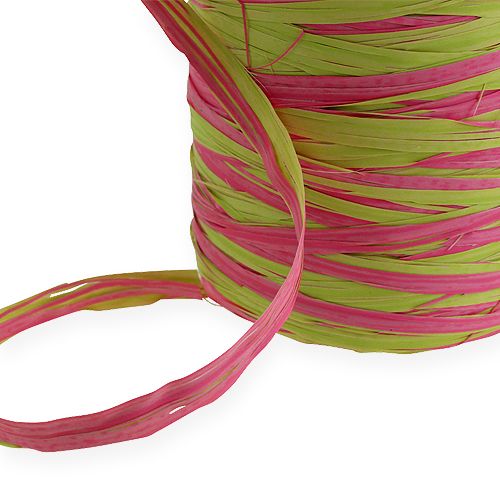 Floristik24 Raffia-Band Bicolor Apfelgrün-Rosa 200m