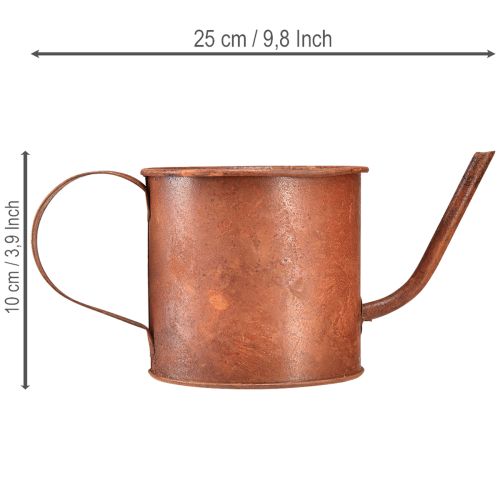 Rost Metall Mini Gießkanne Pflanztopf Ø10 cm H9 cm Vintage-Dekoration | Floristik24.at