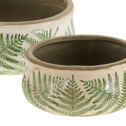 Floristik24 Pflanzschale Farn Steingut Übertopf rund Keramik Ø14/18cm 2er-Set