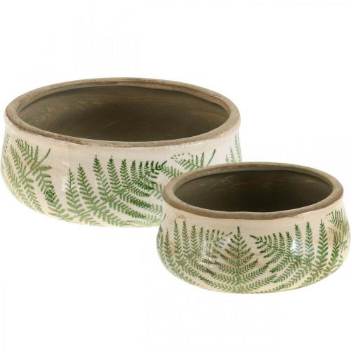 Floristik24 Pflanzschale Farn Steingut Übertopf rund Keramik Ø14/18cm 2er-Set