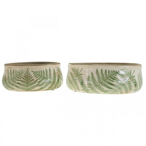 Floristik24 Pflanzschale Farn Steingut Übertopf rund Keramik Ø14/18cm 2er-Set