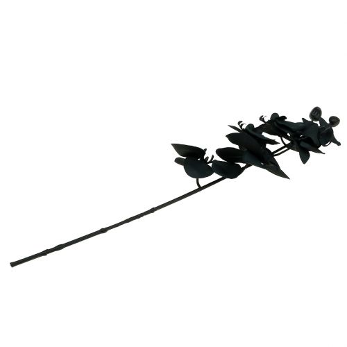 Artikel Orchidee zum Dekorieren Schwarz 54cm