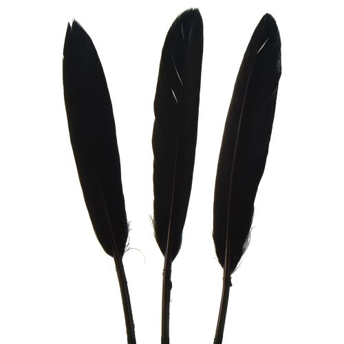 Floristik24 Schwarze Federn Deko Gänsefedern Schwarz 11-14cm 180 St