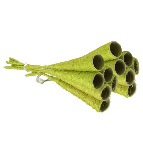 Floristik24 Sisaltrichter Hellgrün Ø3cm L30cm 12St