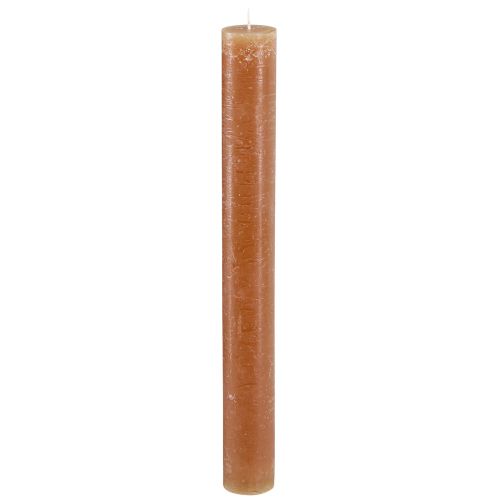 Floristik24 Stabkerzen Tafelkerzen in Karamell 34mm x 300mm 4 St