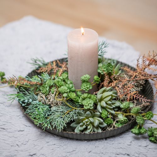 Artikel Sukkulente Echeveria Ø6,5cm L11cm 6St