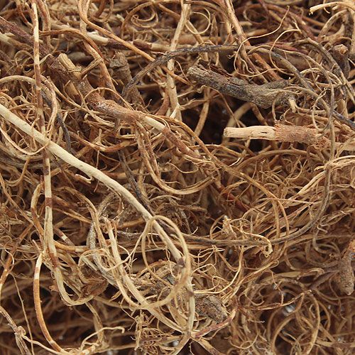 Floristik24 Deko Faser Tamarind Fibre Natur Bastelmaterial Naturfaser 500g