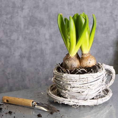 Artikel Teetasse Naturmaterial mit rustikalem Charme für exklusive Indoor Dekoration 13cm