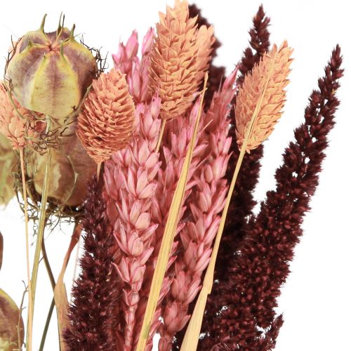 Floristik24 Trockenblumenstrauß Getreide Nigella Rosa Orange 50cm