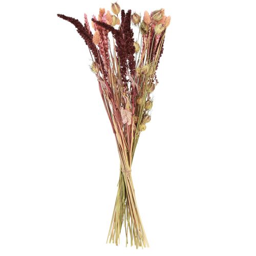 Floristik24 Trockenblumenstrauß Getreide Nigella Rosa Orange 50cm