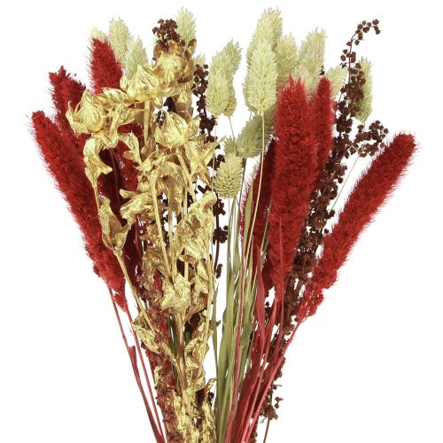 Floristik24 Trockenblumenstrauß Getreide Trockenstrauß Rot Gold 50cm