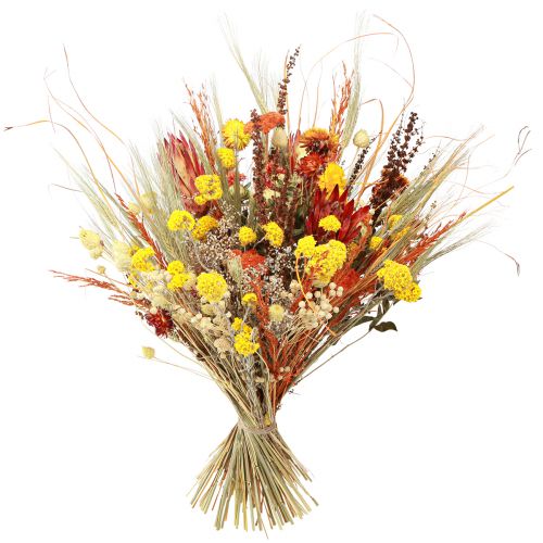 Artikel Trockenstrauß Distel Schafgarbe Orange Gebleicht 55cm 150g