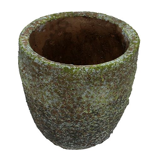 Floristik24 Übertopf mit Moos Ø16cm H16cm 1St