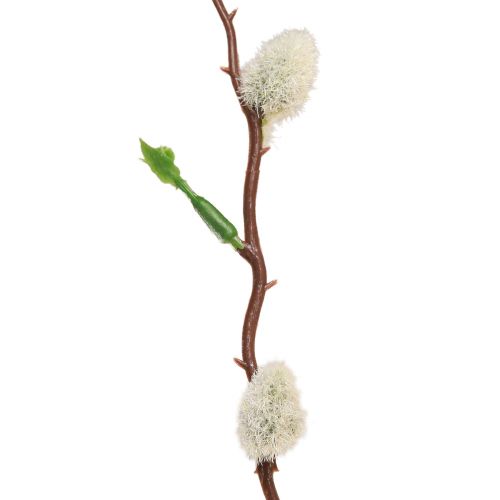 Floristik24 Weidenkätzchen Zweig künstlich 92cm