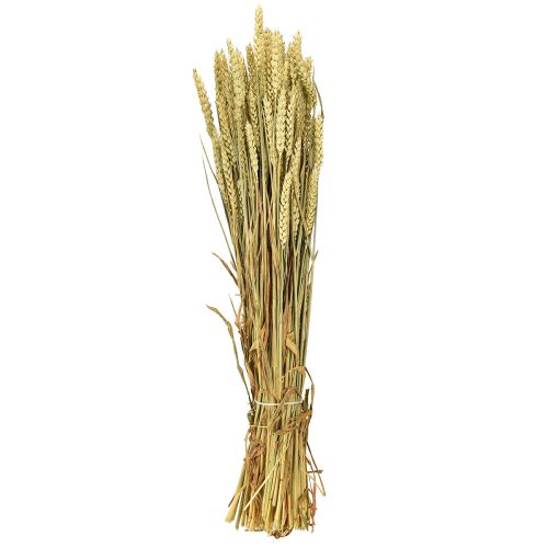 Artikel Weizenbund Natur Deko-Weizen 1 Bund 150g