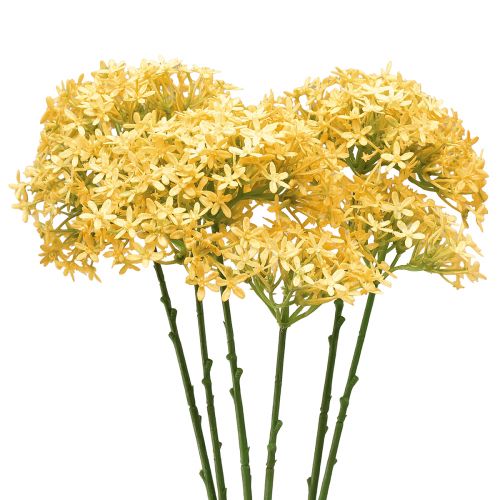 Floristik24 Zierlauch Wilder Allium künstlich Gelb 70cm 3 St