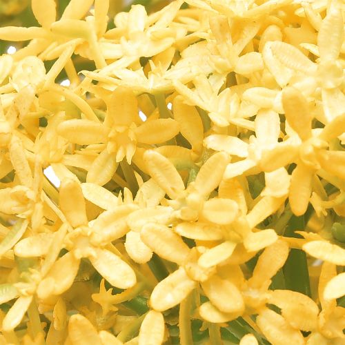Artikel Zierlauch Wilder Allium künstlich Gelb 70cm 3 St