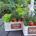Floristik24 Pflanzgefäß “Grünes Glück”, Gartendeko, Holzdeko zum Bepflanzen Weiß gewaschen, Edelrost L35cm H12cm