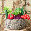 Rotkohl künstlich Real-Touch Kunststoff Ø12cm Lila Dekoration | Floristik24.at