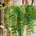 Floristik24 Hängepflanze im Topf Künstliche Grünpflanze Pflanzenampel