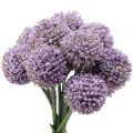 Floristik24 Kunstblumen Kugelblume Allium künstlich Violett 25cm 12St