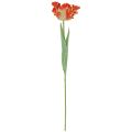 Floristik24 Kunstblume Papageientulpe künstlich Tulpe Orange 69cm