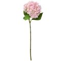 Floristik24 Hortensie künstlich Hellrosa Kunstblume Gartenblume 65cm