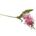 Floristik24 Kunstblumen, Seidenblumen Schmucklilie Pink 97cm
