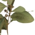 Floristik24 Eukalyptuszweig künstlich Dekozweig Grün 60cm
