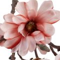 Floristik24 Magnolienzweig Magnolie künstlich Lachs 58cm