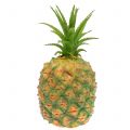 Floristik24 Ananas Mini künstlich 20cm