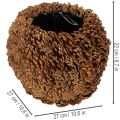 Deko-Übertopf aus Tannenzapfen rund Naturbraun 27 cm | Floristik24.at