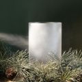 Eisblumenspray für Fensterdeko auf Glas, 150 ml, Weiß | Floristik24.at