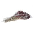 Floristik24 Achillea 1kg Weinrot