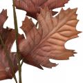 Floristik24 Ahorn Kunstpflanze Ahornblätter Dekopflanze Herbstblatt 74cm