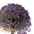 Floristik24 Allium 87cm Lavendel