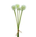 Floristik24 Allium 35cm Weiß 6St