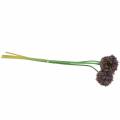 Floristik24 Zierlauch Allium künstlich Lila Ø7cm H58cm 4St