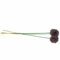 Floristik24 Zierlauch Allium künstlich Lila 70cm 3St