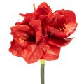 Floristik24 Kunstblume Amaryllis Rot 77cm Kunststoff für Vase und Gesteck