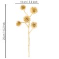 Künstlicher Amberfrucht Zweig Gold Kunststoff 26 cm 6er-Bund | Floristik24.at