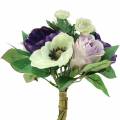 Floristik24 Strauß mit Anemonen und Rosen Violett, Creme 30cm