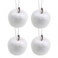 Floristik24 Deko Mini Apfel Glitter Weiß Christbaumschmuck Ø3,5cm 24St