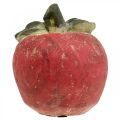 Floristik24 Apfel zum Dekorieren, Herbst, Deko-Frucht aus Beton, Tischdeko Ø13cm
