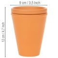 Aquasafe Wasserspeicher mit Insektentränke 12 cm 3er Set für Garten und Balkon | Floristik24.at