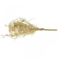 Blumenstrauß künstlich Astern und Schleierkraut Beige, Weiß 43cm