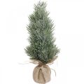 Floristik24 Mini Weihnachtsbaum künstlich im Sack Beschneit H33cm