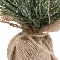 Floristik24 Mini Weihnachtsbaum künstlich im Sack Beschneit H33cm