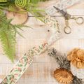 Dekoband Polyester Stechpalmen Beige Grün Rot 25mm 18m Innenbereich | Floristik24.at